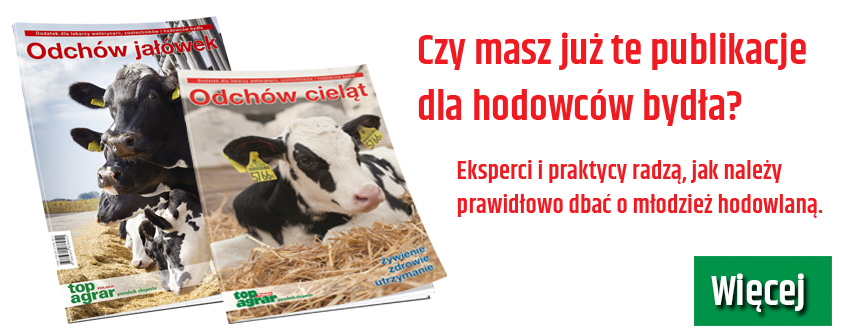 Publikacje - odchów jałówek i odchów cieląt