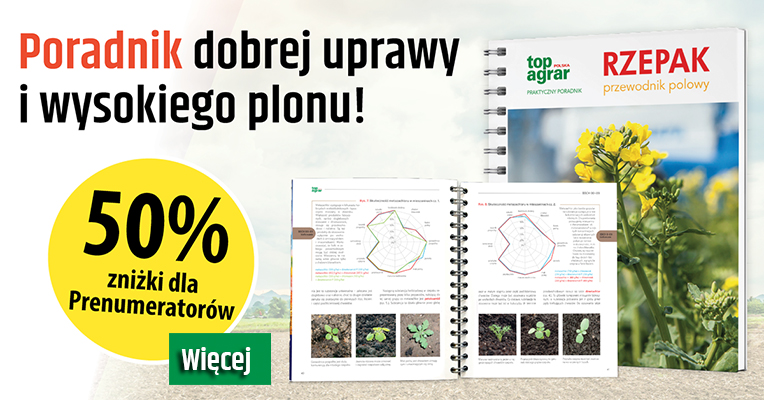 Przewodnik polowy Rzepak