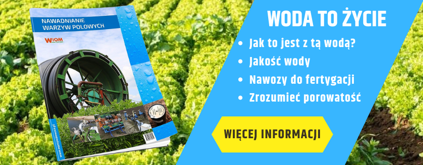 Nawadnianie warzyw polowych