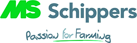 msschippers