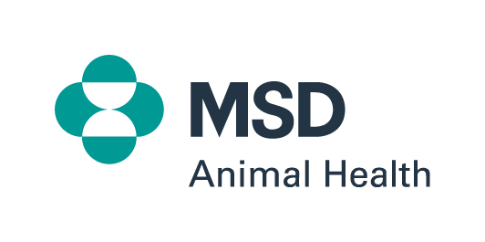 MSD