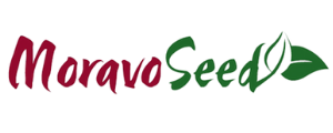 Moravoseed